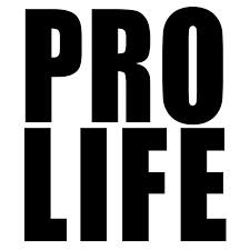 Senate Health Committee Passes Pro-Life Bills