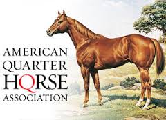 Appaloosa Panel 1 Veterinary Genetics Laboratory