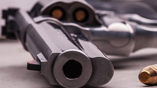 Zeigler Claims of Push to Take Guns Away