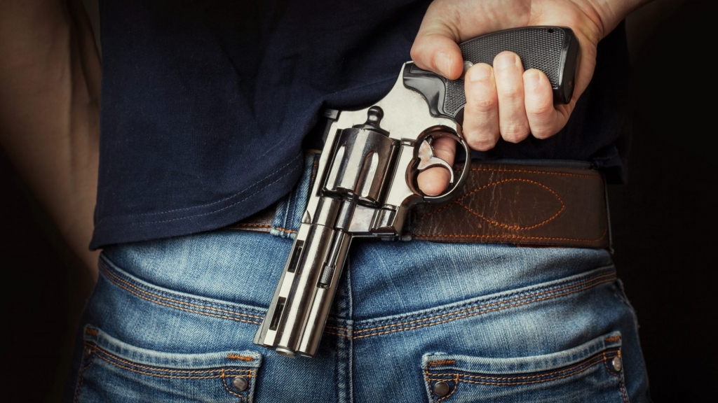 Senate approves bill to nullify federal gun control laws