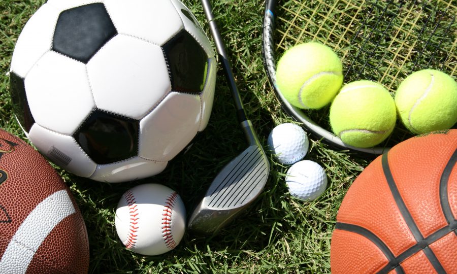 Health committee gives favorable report to youth sports bill