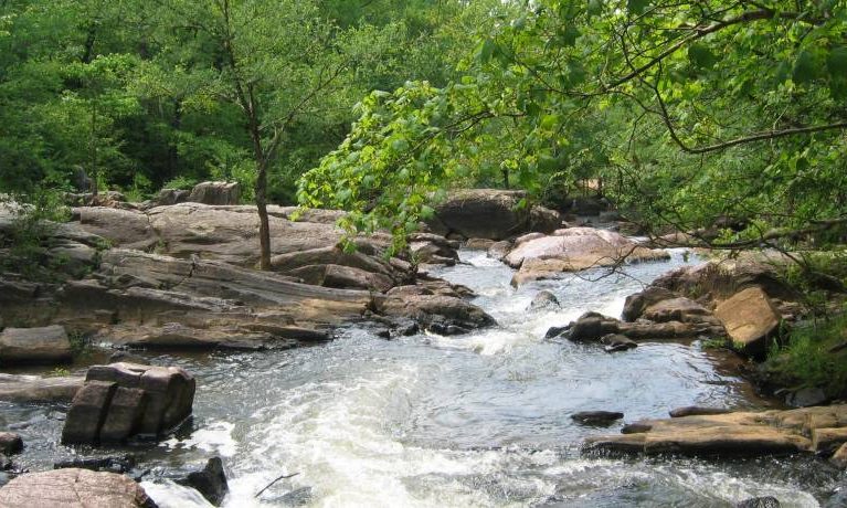 Opinion | Alabama State Parks are a safe oasis during COVID-19 pandemic