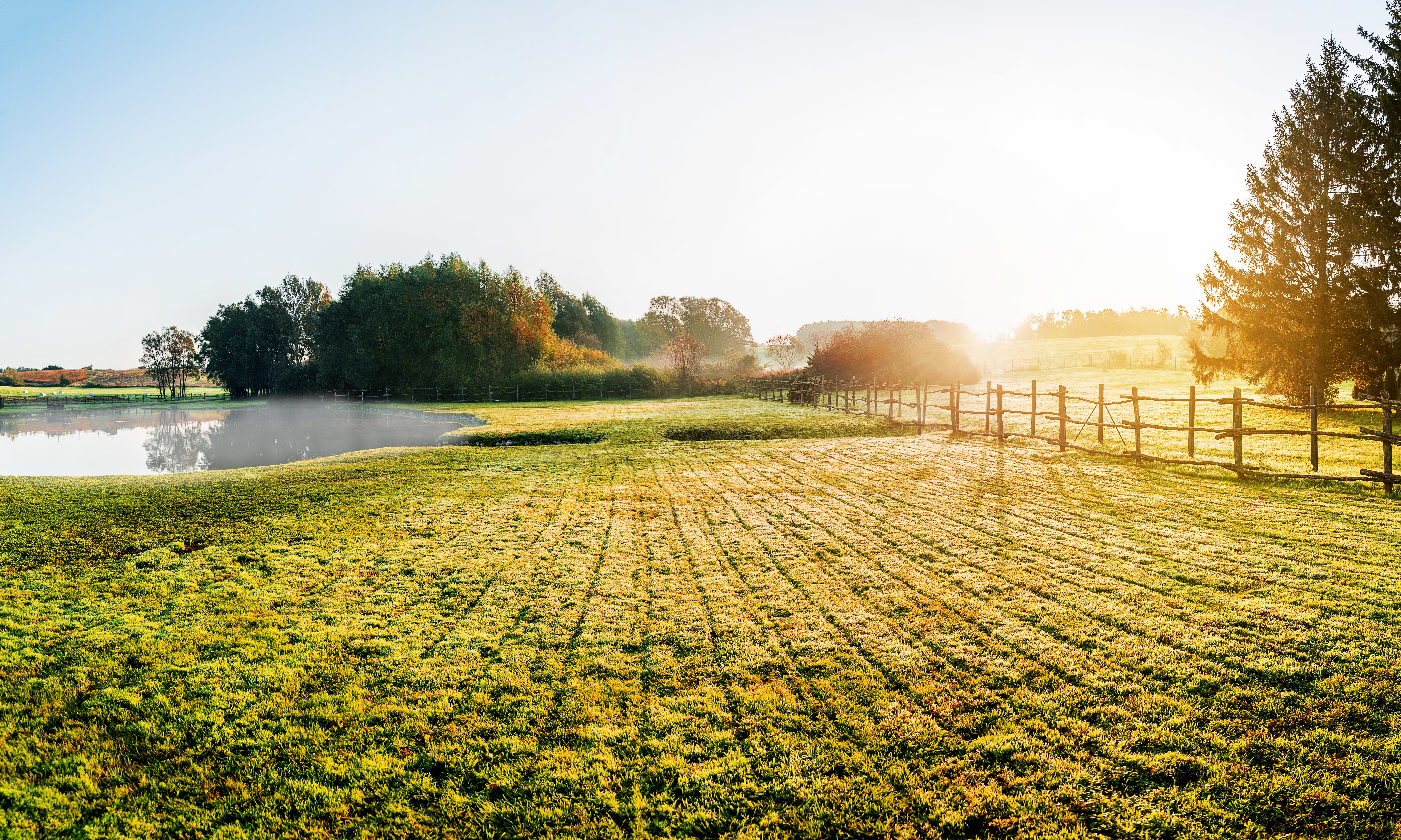 Sunrise over misty grassland with wooden fence in the foreground.