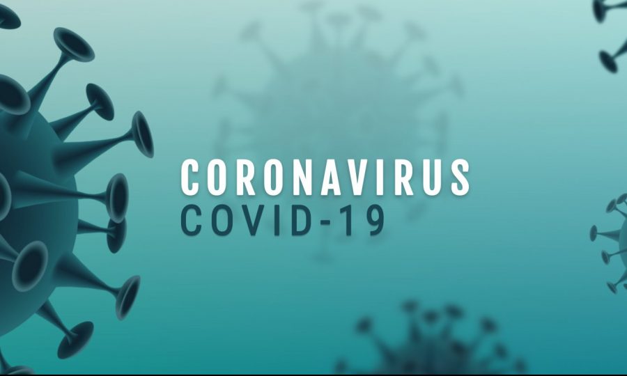 State leaders briefed on efforts to combat coronavirus