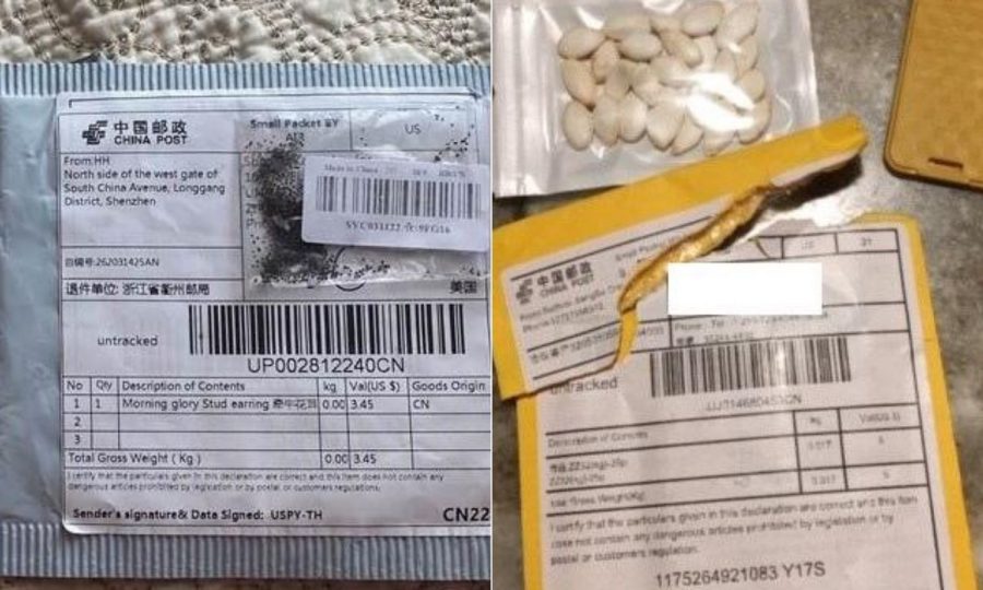 New online system available to report unsolicited seed packages from China