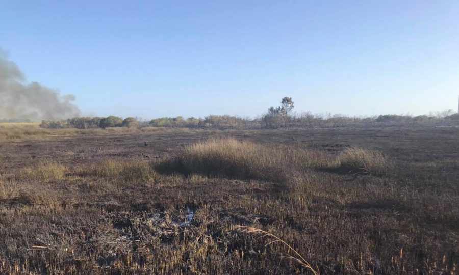 Gulf State Park will have a prescribed burn in late August