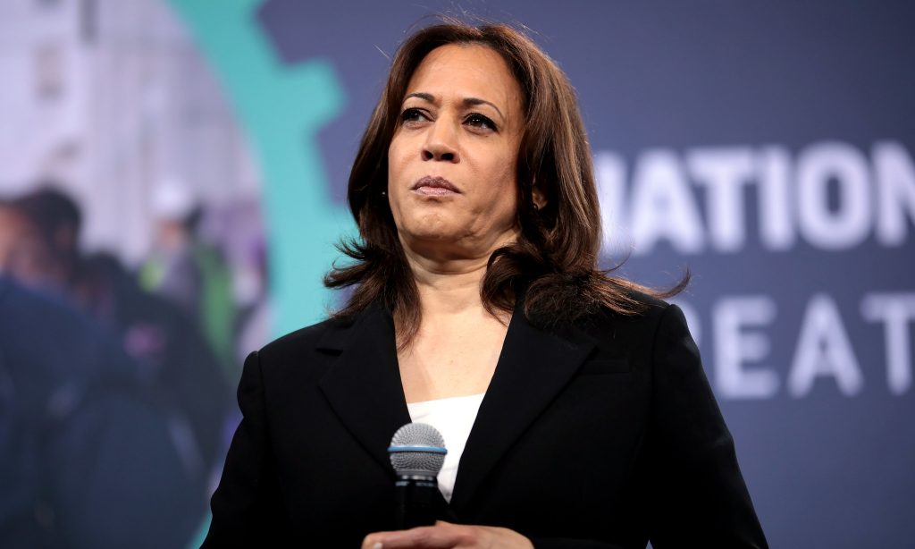 Alabama GOP chair says Harris “drags the Democrats’ ticket even further to the left”