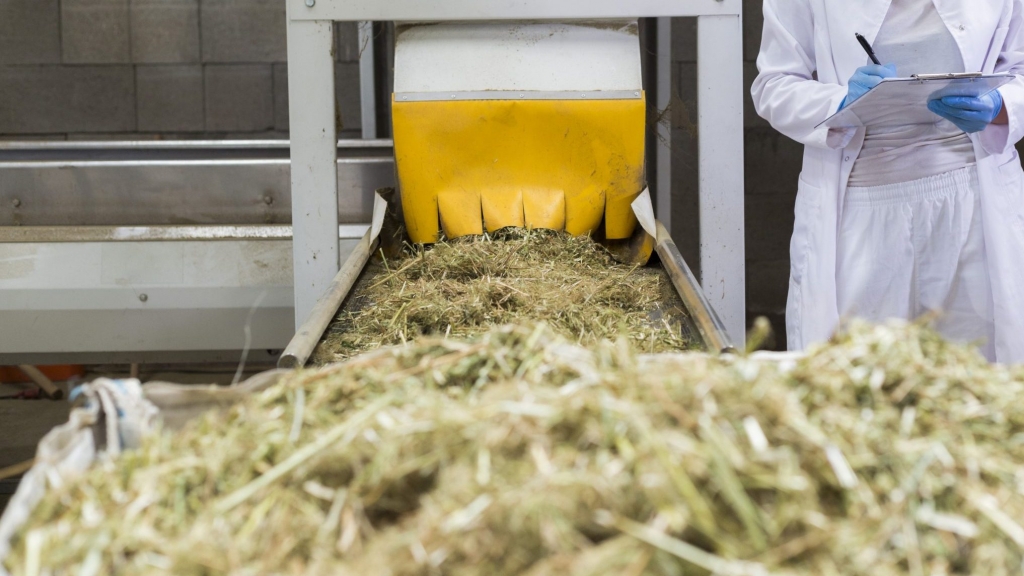 Alabama accepting hemp-growing, processing applications starting Tuesday
