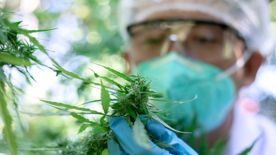 Opinion | The debate over medical marijuana dispensaries is ridiculous