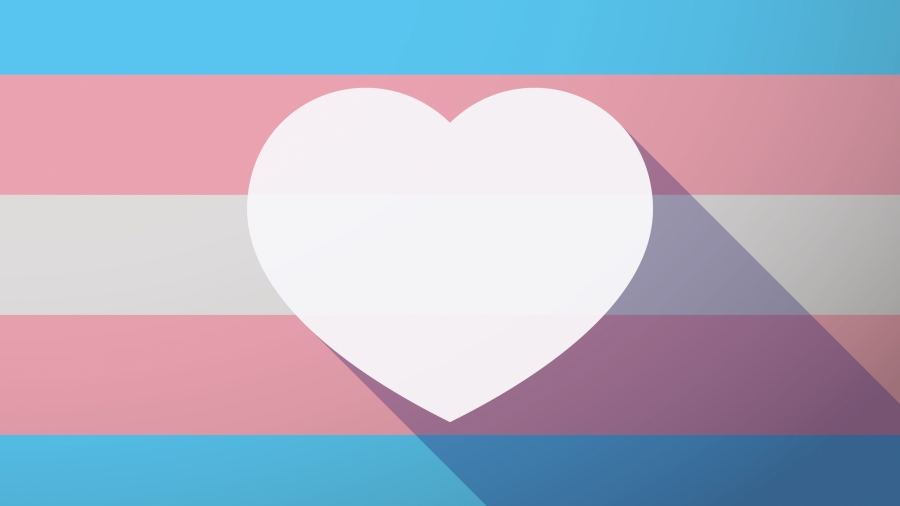 Alabama’s transgender healthcare ban would face swift lawsuit
