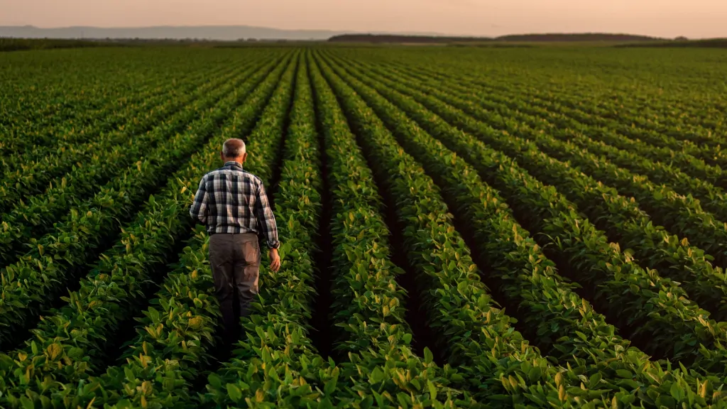 Opinion | Foreign investment in American farmland is a threat to national security