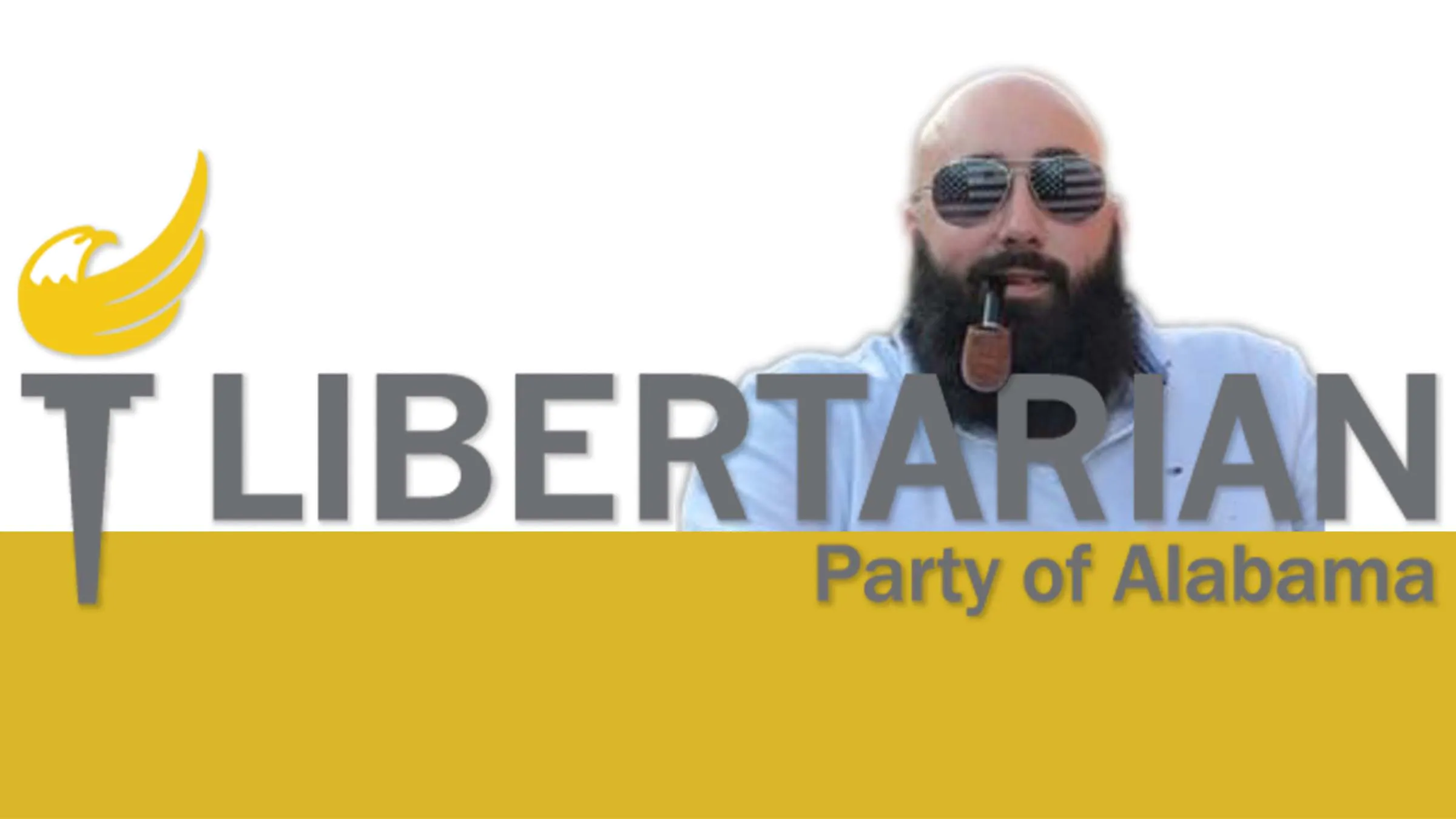 libertarian political party