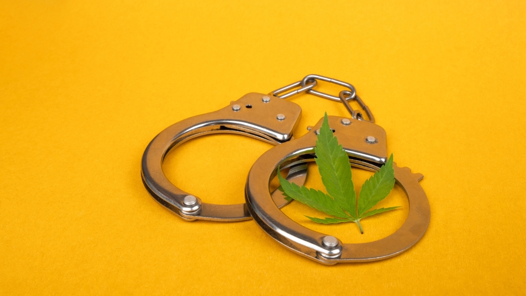 Montgomery, state considering citations for misdemeanor marijuana possession