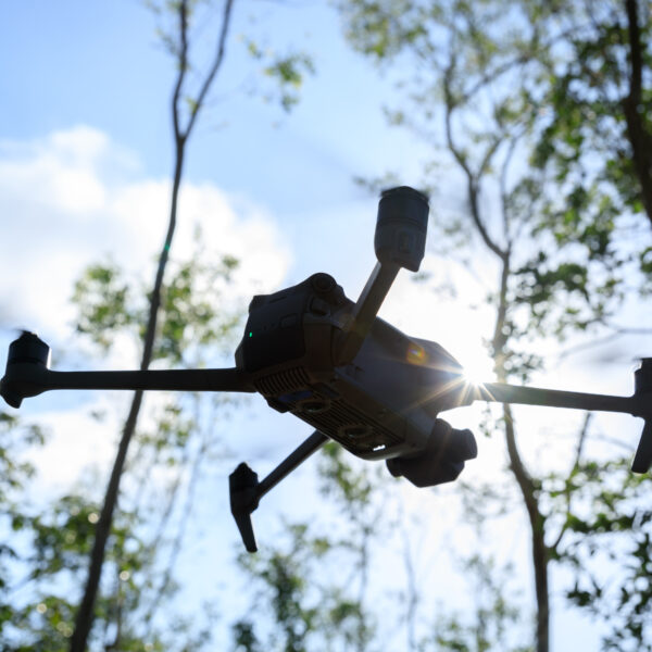 Flying drone in summer forest