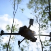 Flying drone in summer forest