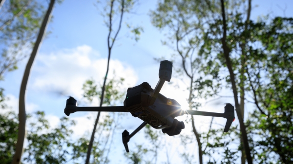 Flying drone in summer forest