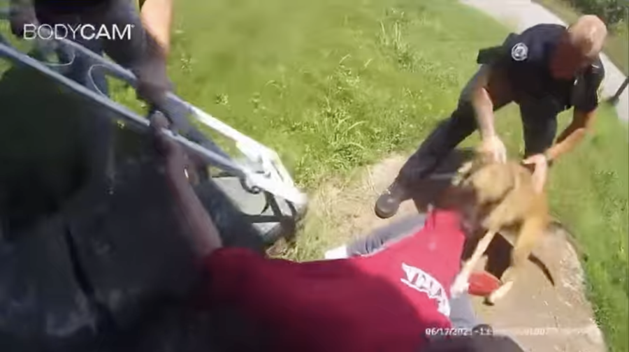 Body cam footage shows police dog biting unarmed Black man