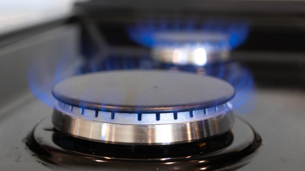 Alabama delegation intent on protecting gas stoves