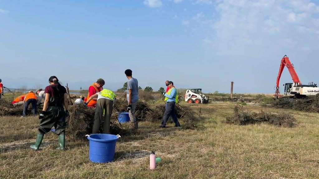 How Alabama Extension restores Dauphin Island oysters