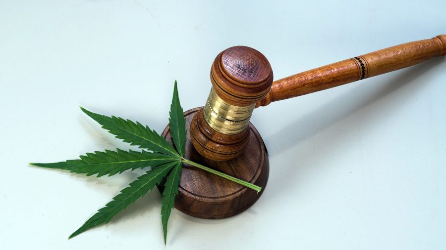 Legal battle over cannabis licenses continues, AMCC still blocked from issuing licenses