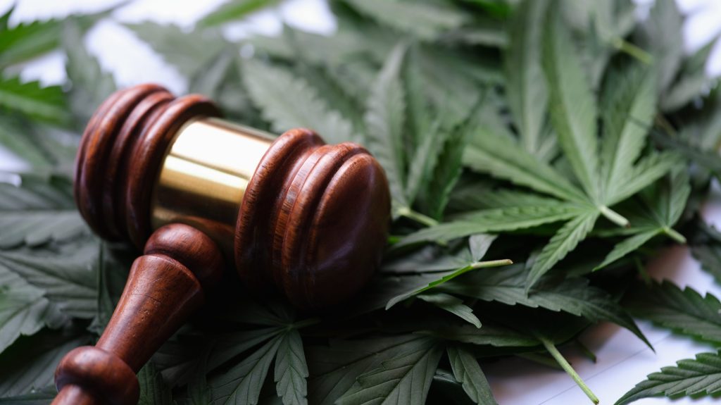 Court allows discovery to move forward in medical cannabis suit