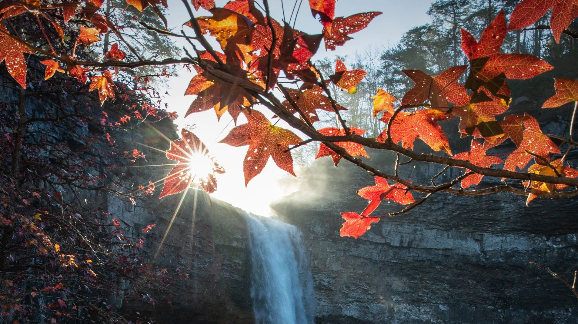 Fall Color on Display at Alabama's State Parks