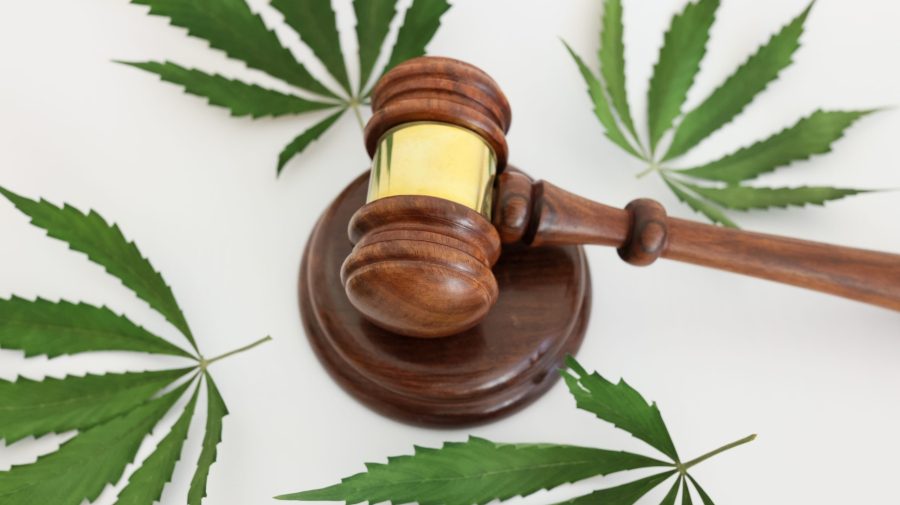 More legal delays in Alabama’s medical marijuana process