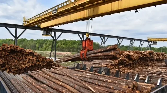 Gov. Ivey announces Two Rivers Lumber plans $115 million sawmill project