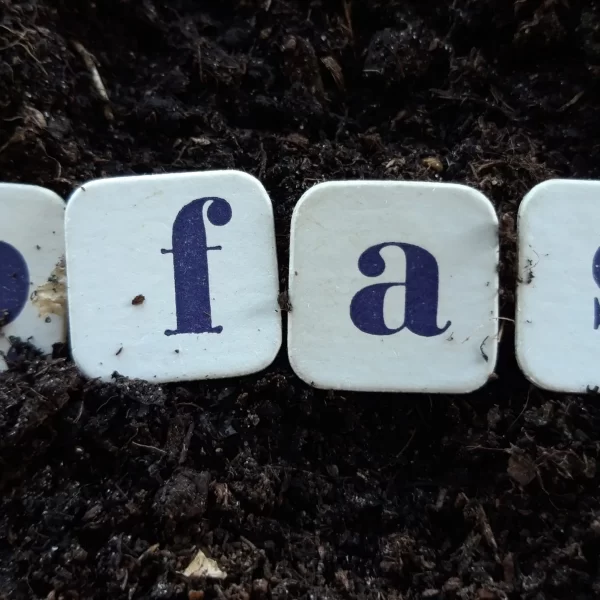 PFAS text in polluted soil