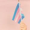 Hand holding flag in transgender pride colours