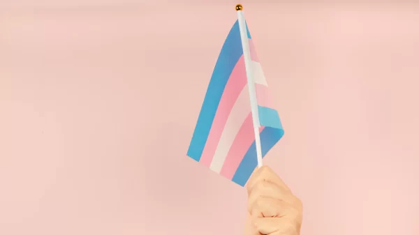 Hand holding flag in transgender pride colours