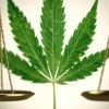 green marijuana leaf on scales, cannabis legalization
