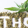 THC Acronym In Marijuana Shake With Cannabis Leafs On White Background